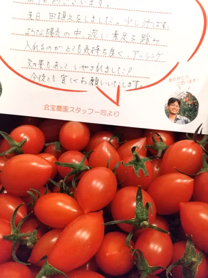 みんなの投稿の画像