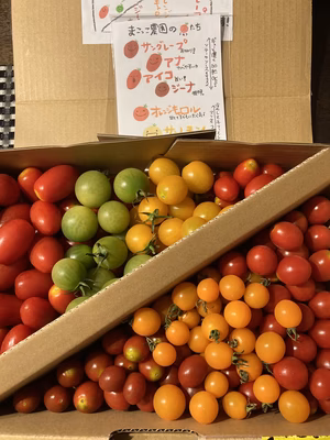 みんなの投稿の画像