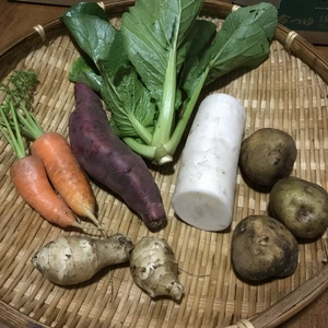 【料理一回分の産直旬野菜。】×6袋詰合せ