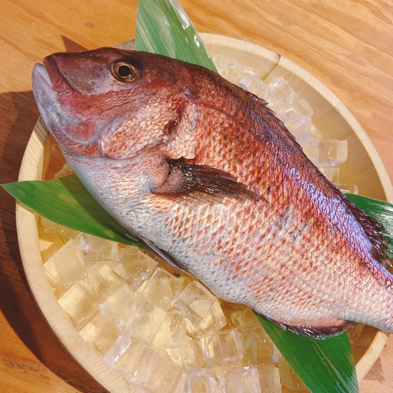 マダイの煮付け4切れ&鯛ごま茶漬け8パック
