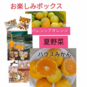 早勝セール8/7便【送料無料】御中元❣️柑橘&加工詰め込お楽しみBOXセット
