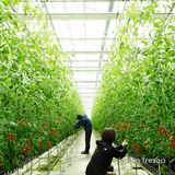 永田記雄 | 株式会社ハルディンフレスコ