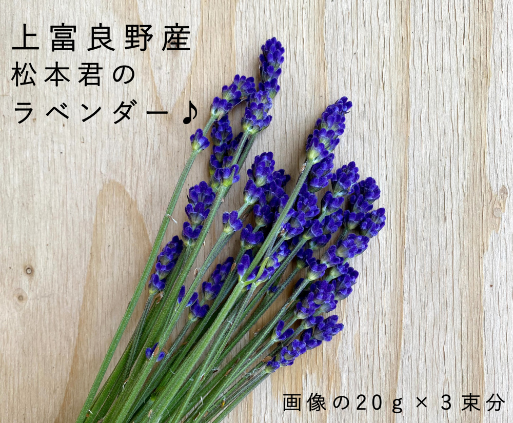 上富良野産 ラベンダーの生花 60g インテリアやドライフラワー ポプリに 農家漁師から産地直送の通販 ポケットマルシェ