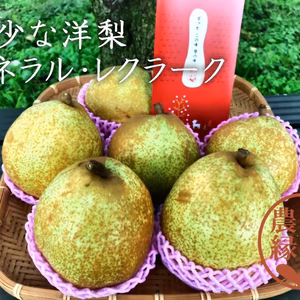 【洋梨の予約】福島県産ゼネラルレクラーク　ギフト・贈答用【10月お届け】