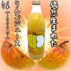 偶然生まれたりんごジュース・1000ml×6本入り