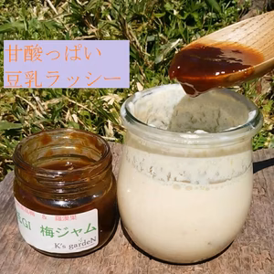 果実ごろごろ　大人の酸っぱさ　紀州南高梅ジャム　無農薬＆完熟