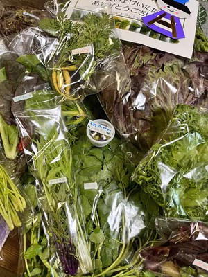 みんなの投稿の画像