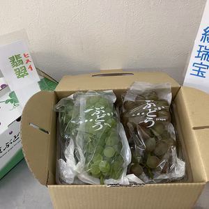 【大粒ぶどう味くらべ2種盛】紅瑞宝・翡翠1kg（贈答用取っ手付き）