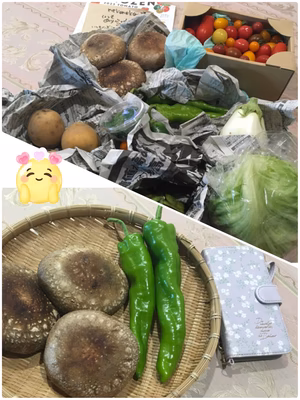 みんなの投稿の画像