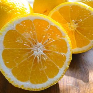 爽やかな香りと甘さ！【長崎県産】はるか