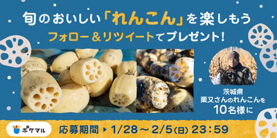ポケマルスタッフにも大人気💓栗又さんのれんこん2キロが当たる！【ポケマル公式Twitter】プレゼントキャンペーン開始🎉