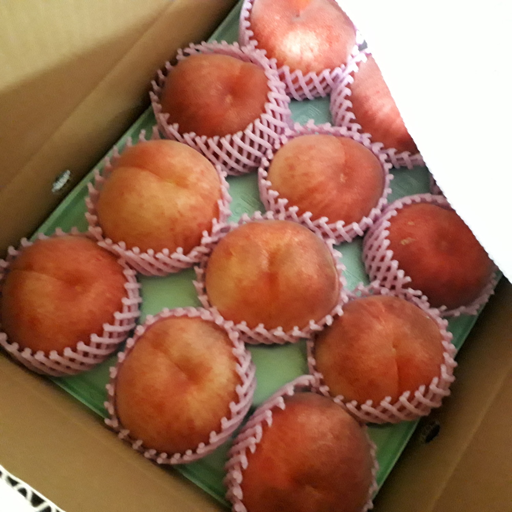 C5 旬のモモのけっこう訳あり品 5 入り 農家漁師から産地直送の通販 ポケットマルシェ