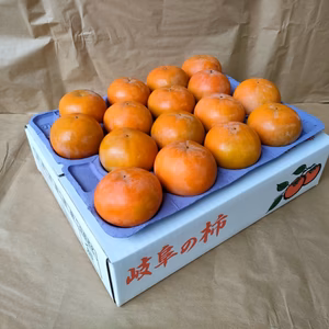 【岐阜県産】贈答用・富有柿 Mサイズ