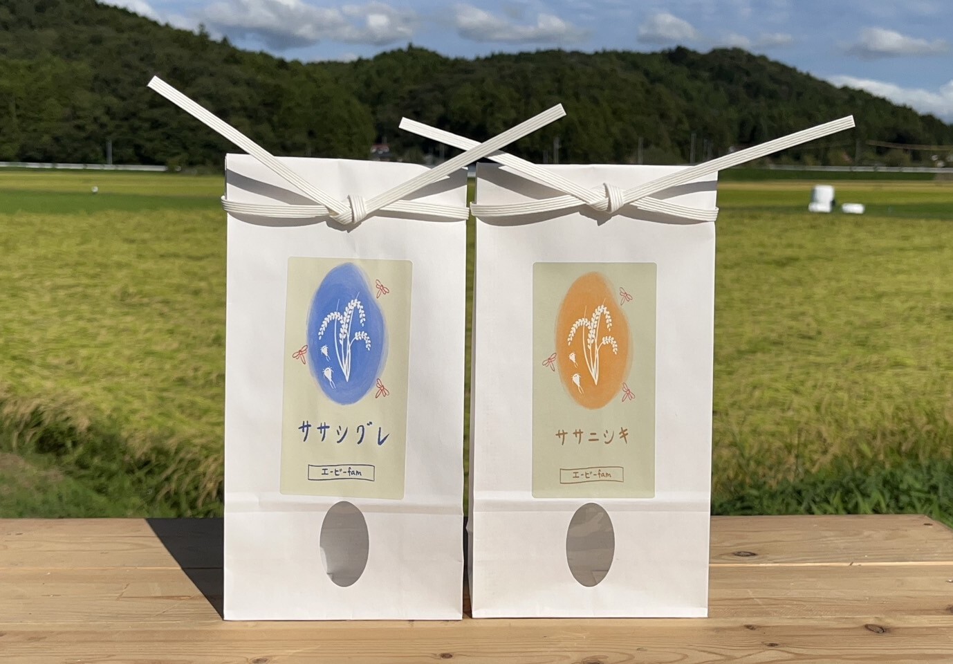 2024あっさり食べ比べセット[環境保全米]ササシグレ・ササニシキ(白米) 白米1.5kg×2袋(3kg)