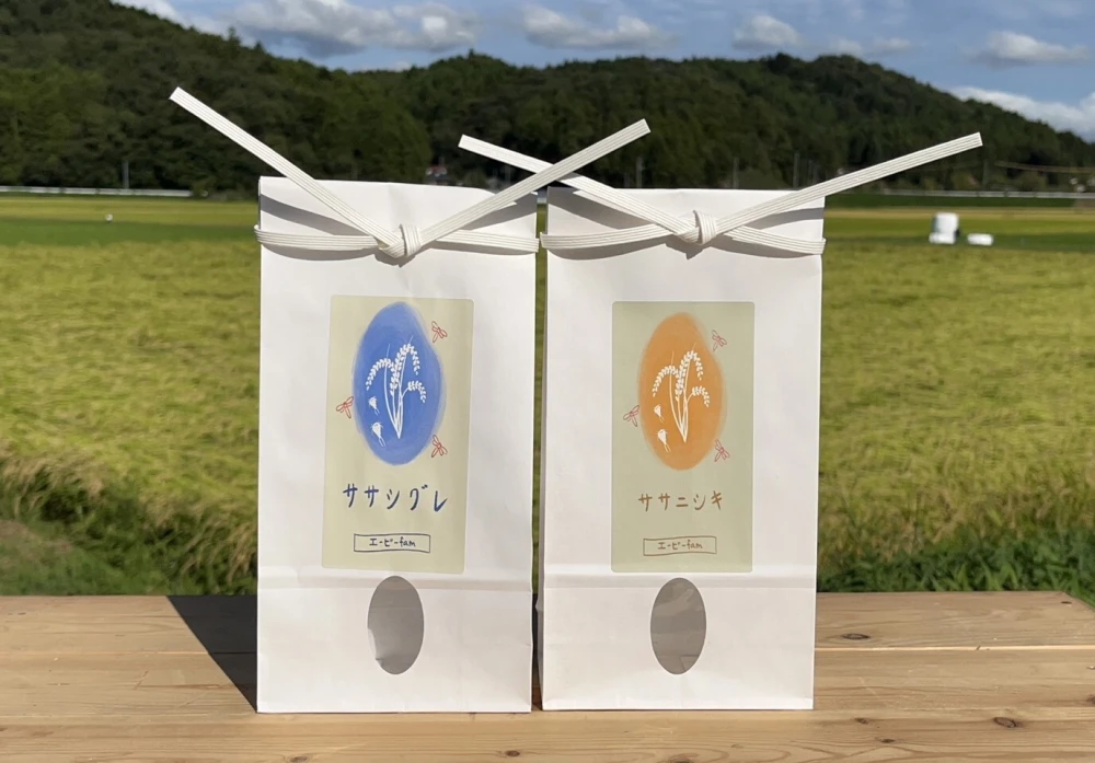 『新米』あっさり食べ比べセット【環境保全米】ササシグレ・ササニシキ(白米)