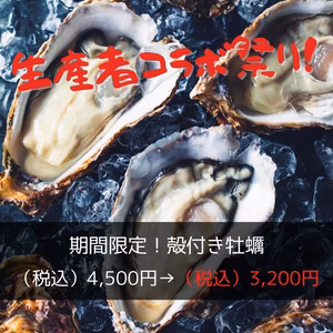 生産者コラボ企画！期間限定の特別価格　美浄生牡蠣　殻付き　20個