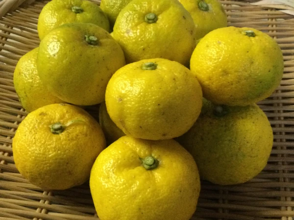 鮮烈な香り広がる、本場高知の自然栽培ユズ(柚子・ゆず) 2kg（多少のキズあり)