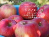 【シナノスイート(はねだし訳あり規格)】当園一番人気10月の甘いりんご♪