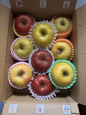 みんなの投稿の画像