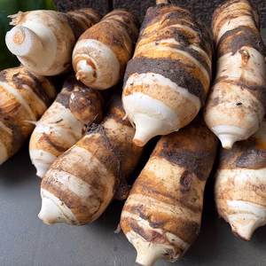 京都伝統野菜 　海老芋のみ　自然栽培　２K～