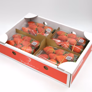 【冬ギフト】群馬県産完熟いちご【やよいひめ】270g×4パックセット