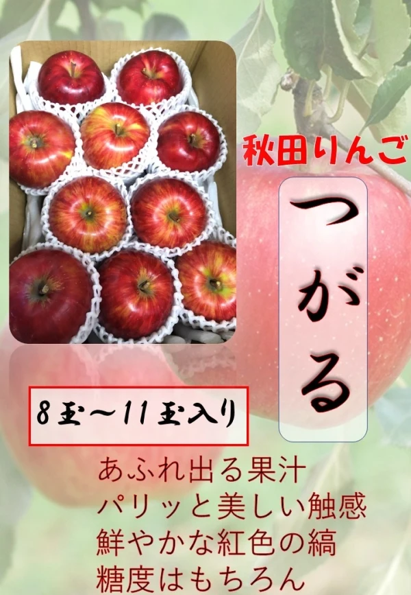 甘さあふれる 秀品 リンゴ つがるりんご 旬 秋田　冷蔵　ポケマル便