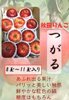 【セール中】りんご つがりんご 大玉 旬のパリパリりんご  リンゴ アップル 