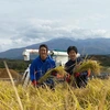 お米コンテスト入賞米　特別栽培ササニシキ　お米番付2021敢闘賞受賞