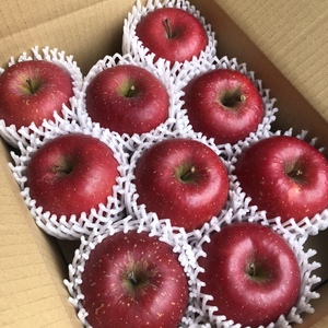 甘さと香りの贈り物❗️《濃厚サンふじ‼️ギフト品》3kg
