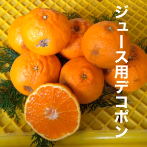 酸味がアクセント！デコみかん ジュース用　no2