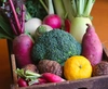 【月1定期便】旬のお野菜を少しずつたくさん！甲斐路の山々に見守られて育ったお野菜