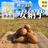 【絶品】種子島産 安納芋 2S&S 混合サイズ｜aimo農園