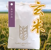 【値引き定期便！】北海道米あやひめ（玄米）