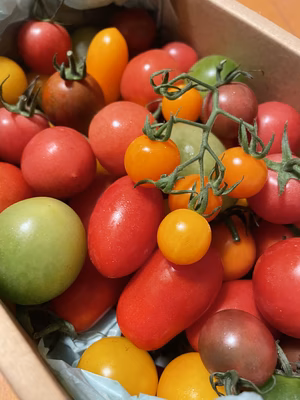 みんなの投稿の画像