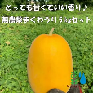 【7月中旬発送】農家直送！近江伝統野菜 無農薬まくわうり 5kgセット