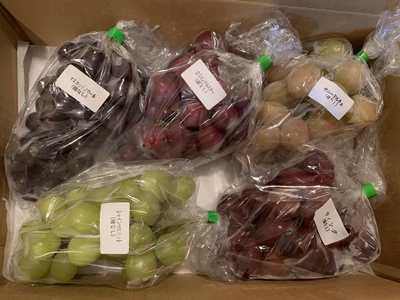 みんなの投稿の画像