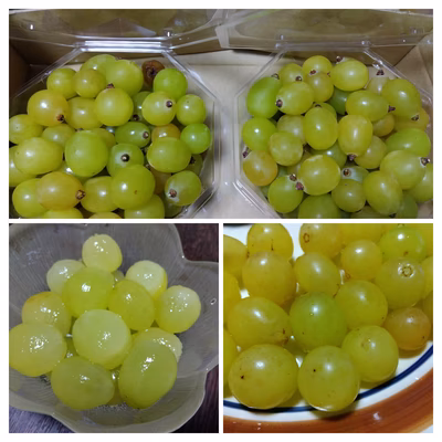 みんなの投稿の画像