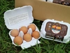 【北海道】平飼い卵「ななエッグ」6個入り 8パックセット(合計48個)