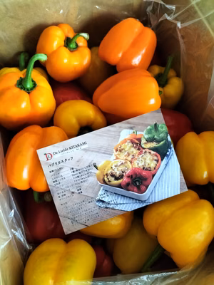 みんなの投稿の画像