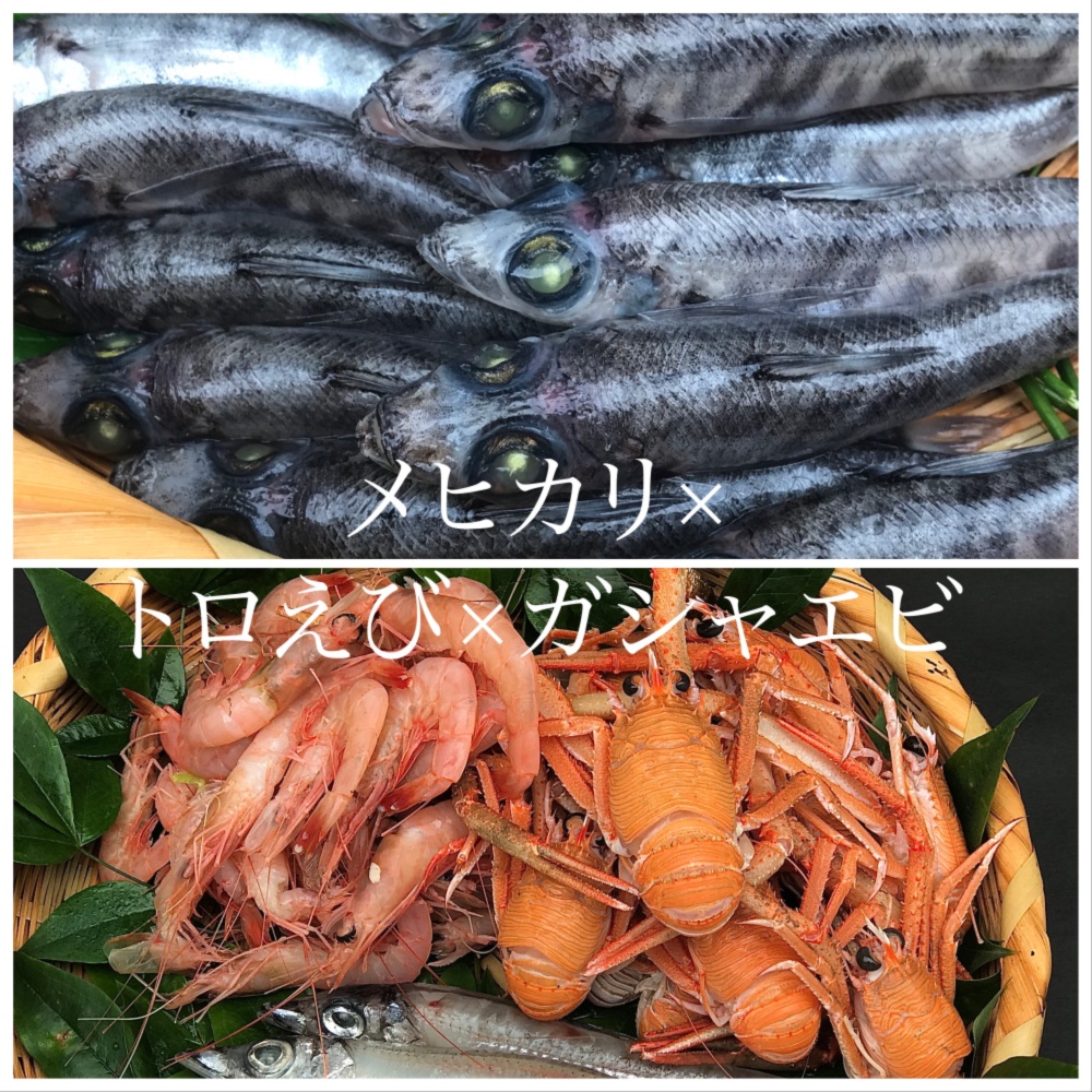 父の日ギフト 珊瑚色したトロえび ガシャエビと魚界のチャンピオン級メヒカリ 農家漁師から産地直送の通販 ポケットマルシェ