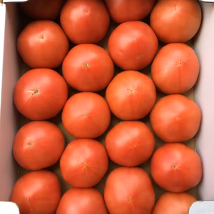 忠保の野菜シリーズ！！甘いよ？完熟トマト！！