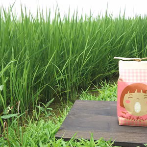 ごはん大好き！菜園家族の旅するお米「コシヒカリ」【白米】