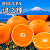訳あり 西浦みかん 約4.9キロ～箱込 津之輝 訳ありみかん つのかがやき