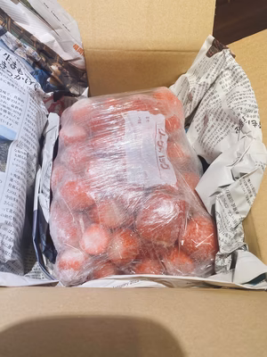 みんなの投稿の画像