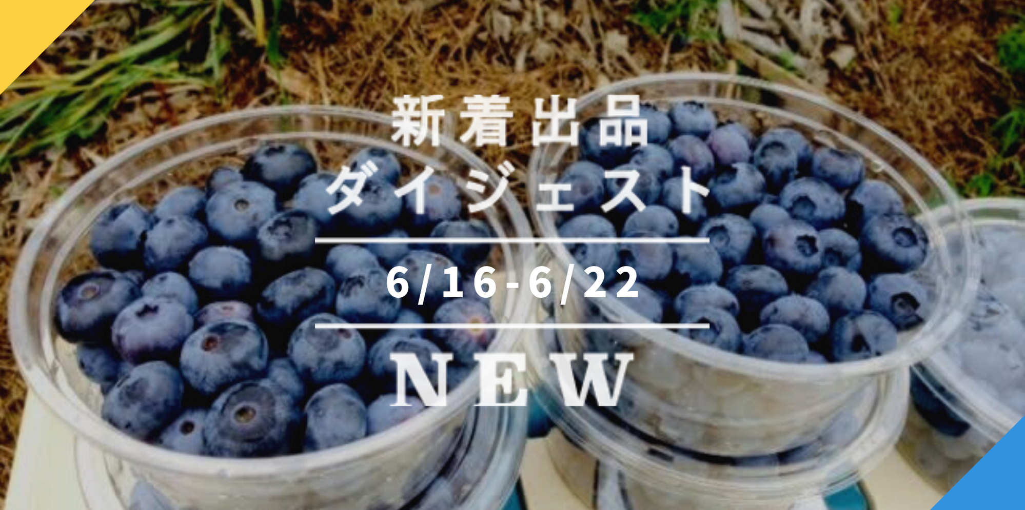 摘果マンゴー　10〜35g 7kg 摘果マンゴー 10〜100g 7kg