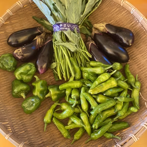 鈴木清友農園の夏野菜詰め合わせ60