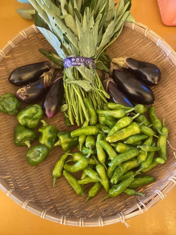 鈴木清友農園の夏野菜詰め合わせ60