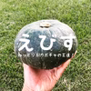 北海道 かぼちゃ くり将軍&えびす 【玉数指定可能です！ 】北海道十勝芽室町