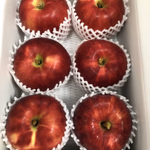飛騨りんご（つがる）６個入り　お試しサイズ　