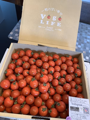 みんなの投稿の画像